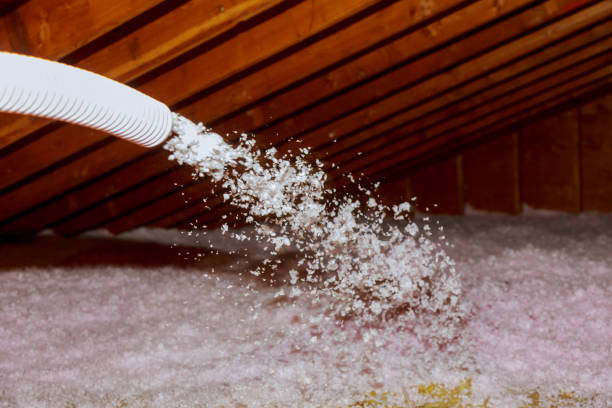Best Insulation Maintenance and Repair in Tracy City, TN