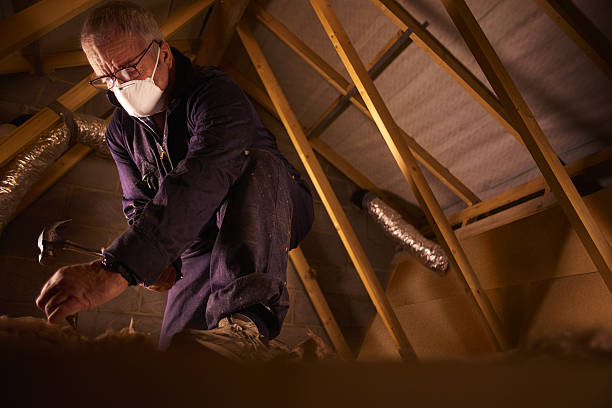 Best Insulation Installation Services in Tracy City, TN